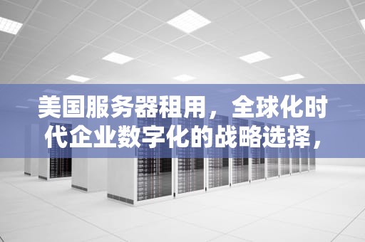 美国服务器租用，全球化时代企业数字化的战略选择，美国服务器租用网站