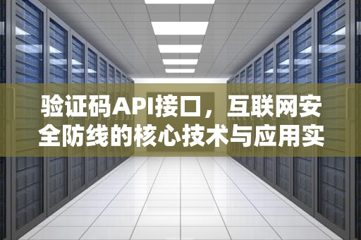验证码API接口，互联网安全防线的核心技术与应用实践，验证码API接口