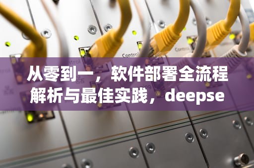从零到一，软件部署全流程解析与最佳实践，deepseek本地部署软件