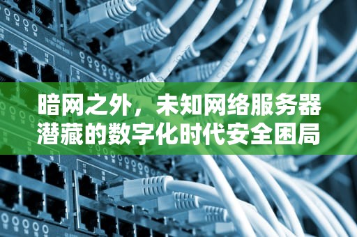 暗网之外，未知网络服务器潜藏的数字化时代安全困局，未知的网络服务器怎么设置