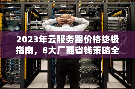 2023年云服务器价格终极指南，8大厂商省钱策略全解析，云服务器 谁家的便宜好用