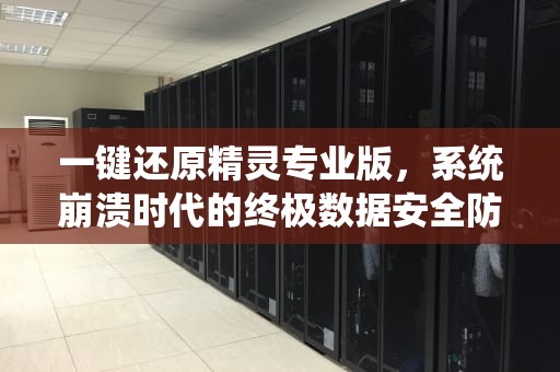 一键还原精灵专业版，系统崩溃时代的终极数据安全防线，一键还原精灵专业版怎么用