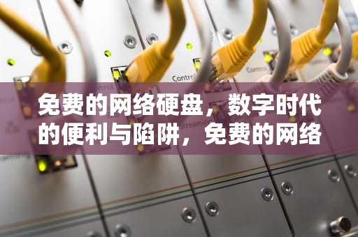 免费的网络硬盘，数字时代的便利与陷阱，免费的网络硬盘有哪些