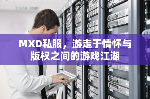 MXD私服，游走于情怀与版权之间的游戏江湖