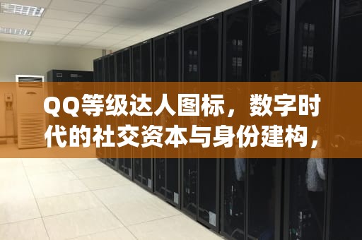 QQ等级达人图标，数字时代的社交资本与身份建构，qq等级达人图标点亮