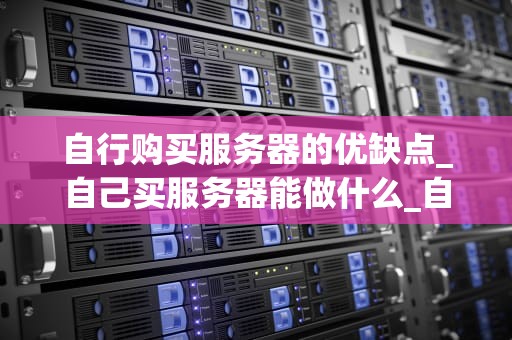 自行购买服务器的优缺点_自己买服务器能做什么_自行购买服务器的优缺点