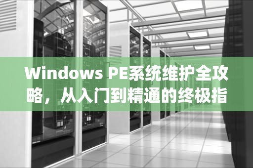 Windows PE系统维护全攻略，从入门到精通的终极指南，如何删除winpe系统