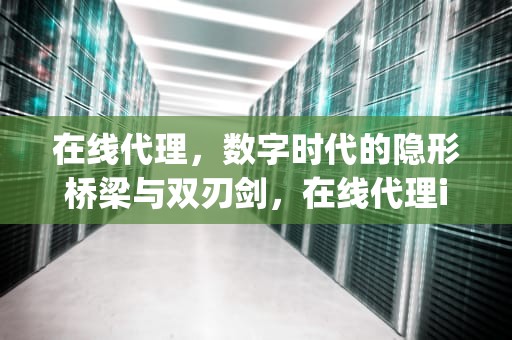 在线代理，数字时代的隐形桥梁与双刃剑，在线代理ip网站