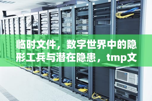 临时文件，数字世界中的隐形工兵与潜在隐患，tmp文件用什么打开