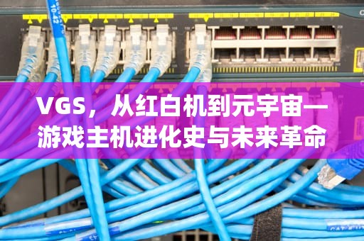 VGS，从红白机到元宇宙—游戏主机进化史与未来革命，vgs是什么意思