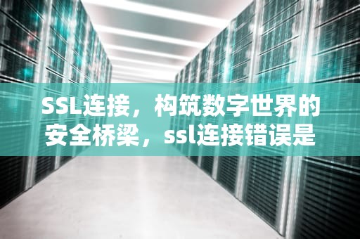 SSL连接，构筑数字世界的安全桥梁，ssl连接错误是什么意思