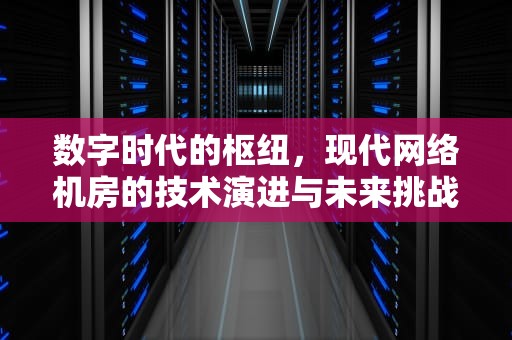 数字时代的枢纽，现代网络机房的技术演进与未来挑战，网络机房建设标准
