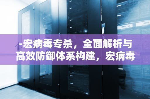 -宏病毒专杀，全面解析与高效防御体系构建，宏病毒专杀工具哪个好
