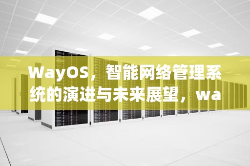 WayOS，智能网络管理系统的演进与未来展望，wayos维盟登陆账号密码