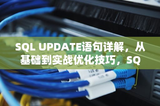 SQL UPDATE语句详解，从基础到实战优化技巧，SQL UPDATE语句