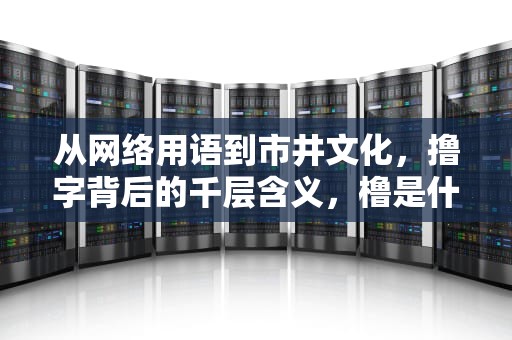 从网络用语到市井文化，撸字背后的千层含义，橹是什么意思
