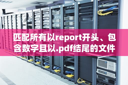 匹配所有以report开头、包含数字且以.pdf结尾的文件
