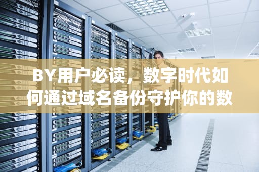 BY用户必读，数字时代如何通过域名备份守护你的数字身份，by请牢记以下域名防止失联的注意事项