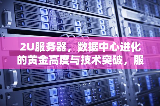 2U服务器，数据中心进化的黄金高度与技术突破，服务器2u是什么意思