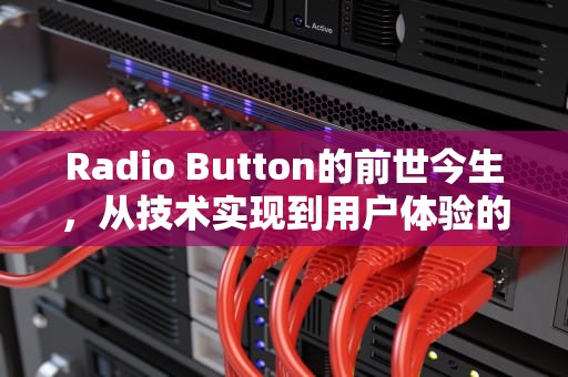Radio Button的前世今生，从技术实现到用户体验的全面解析，radio选中再点击取消