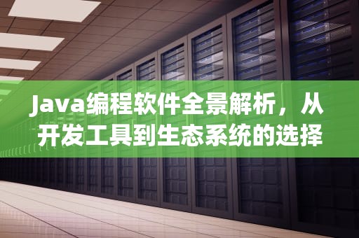 Java编程软件全景解析，从开发工具到生态系统的选择指南，java编程软件有哪些