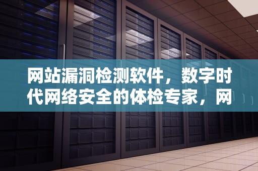 网站漏洞检测软件，数字时代网络安全的体检专家，网站漏洞检测软件有哪些