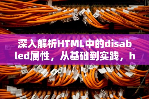 深入解析HTML中的disabled属性，从基础到实践，htmldisabled属性