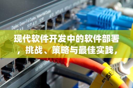 现代软件开发中的软件部署，挑战、策略与最佳实践，deepseek本地部署软件