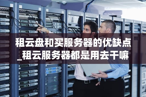 租云盘和买服务器的优缺点_租云服务器都是用去干嘛的_租云盘与买服务器的优缺点分析