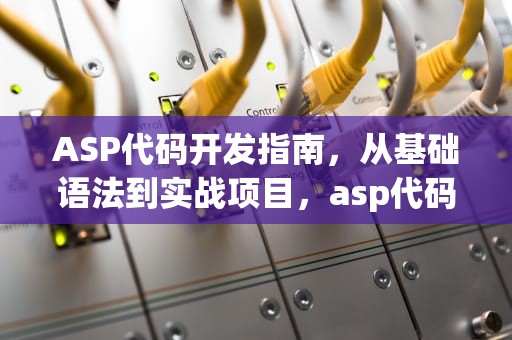 ASP代码开发指南，从基础语法到实战项目，asp代码注释怎么注释