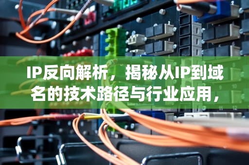 IP反向解析，揭秘从IP到域名的技术路径与行业应用，ip反查域名网站