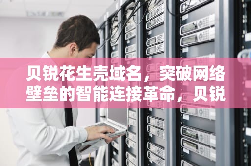 贝锐花生壳域名，突破网络壁垒的智能连接革命，贝锐花生壳域名管理
