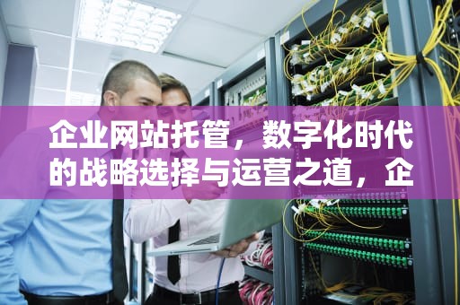 企业网站托管，数字化时代的战略选择与运营之道，企业网站托管一个月多少钱