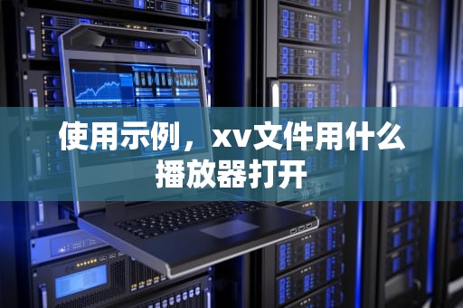 使用示例，xv文件用什么播放器打开