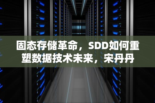 固态存储革命，SDD如何重塑数据技术未来，宋丹丹