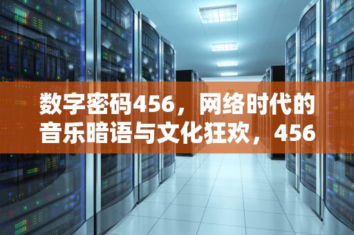 数字密码456，网络时代的音乐暗语与文化狂欢，456 是什么意思网络用语