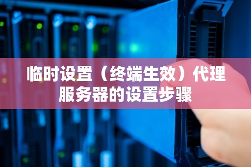 临时设置（终端生效）代理服务器的设置步骤