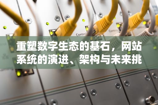 重塑数字生态的基石，网站系统的演进、架构与未来挑战，中小客车指标管控信息管理网站系统