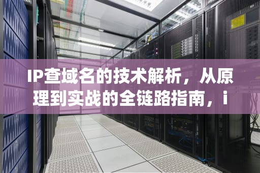 IP查域名的技术解析，从原理到实战的全链路指南，ip反查域名网站