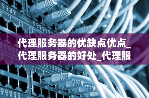 代理服务器的优缺点优点_代理服务器的好处_代理服务器的优缺点分析