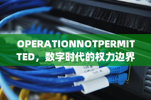 OPERATIONNOTPERMITTED，数字时代的权力边界与人类自由悖论，operationnotpermitted怎么解决