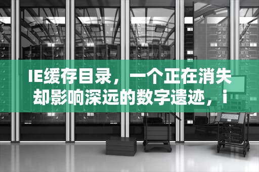 IE缓存目录，一个正在消失却影响深远的数字遗迹，ie缓存目录在哪