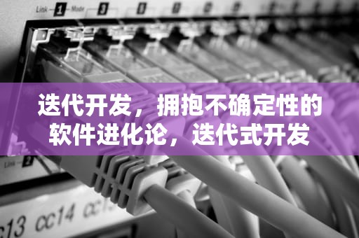 迭代开发，拥抱不确定性的软件进化论，迭代式开发