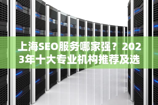 上海SEO服务哪家强？2023年十大专业机构推荐及选择指南，上海哪家seo公司好