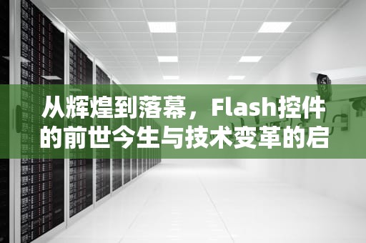 从辉煌到落幕，Flash控件的前世今生与技术变革的启示，flash控件怎么安装