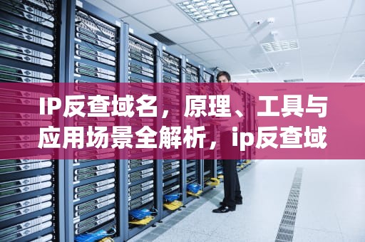 IP反查域名，原理、工具与应用场景全解析，ip反查域名网站