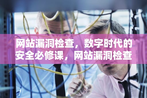 网站漏洞检查，数字时代的安全必修课，网站漏洞检查方法