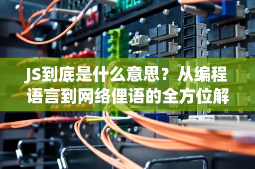 JS到底是什么意思？从编程语言到网络俚语的全方位解读，js什么意思网络语言