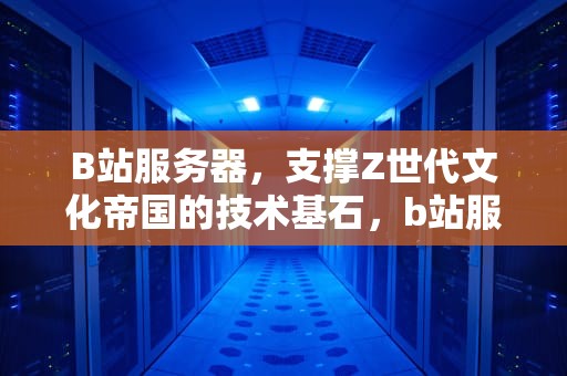B站服务器，支撑Z世代文化帝国的技术基石，b站服务器在哪个城市