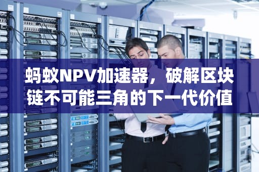 蚂蚁NPV加速器，破解区块链不可能三角的下一代价值引擎，蚂蚁npv加速器安卓